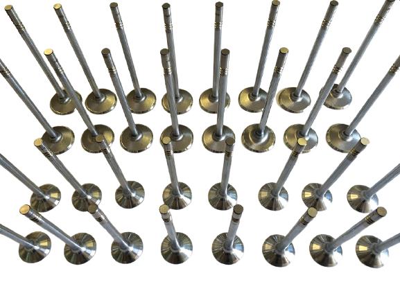 96-04 DOHC / Mustang Cobra SVT MMR Stainless Steel 32 Valves kit