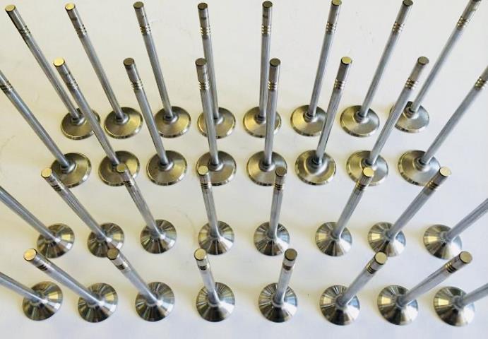 2011-17 5.0 Ford Coyote Stainless Steel Hi FLOW Valves