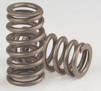 2005-10 4.6 & 5.4 3V Mustang GT / F150 / F250 Valve springs